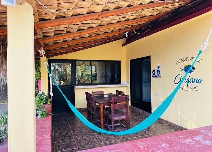 Cirujano Cabo Pulmo