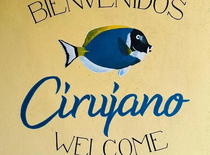Cirujano