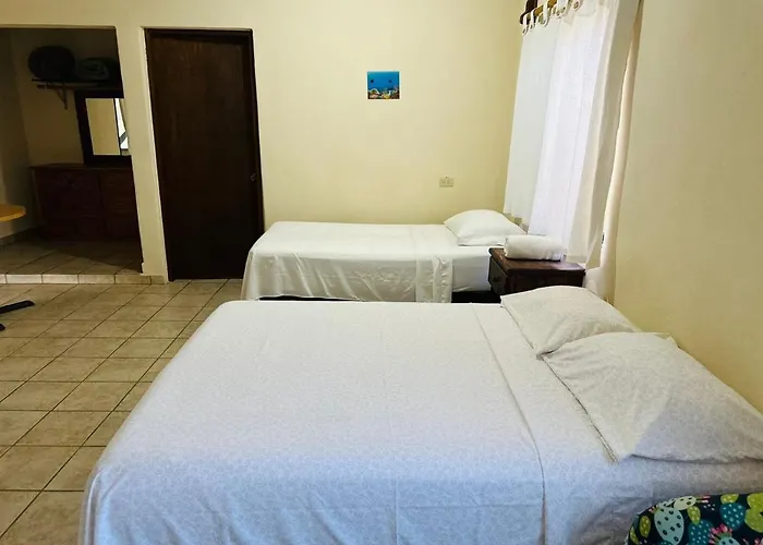 Apartamento Cirujano *